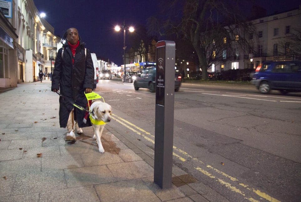 Road safety_guide dog